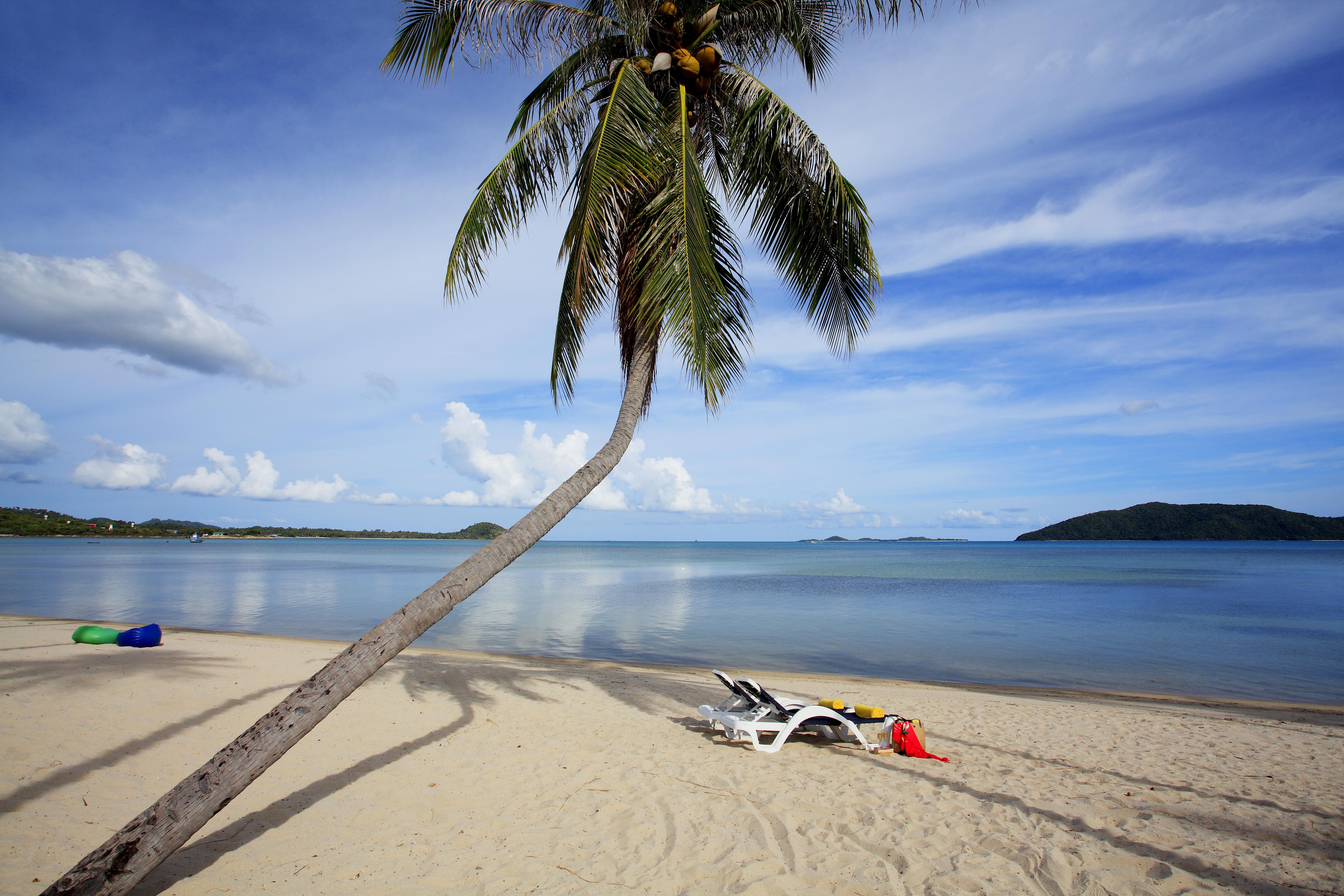 Centra By Centara Coconut Samui - Sha Feriested