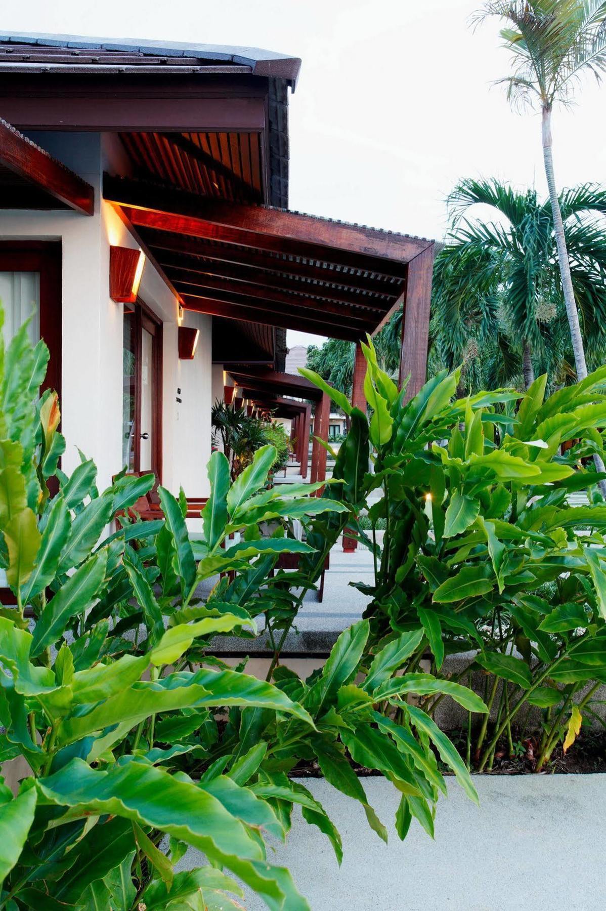 Centra By Centara Coconut Samui - Sha Koh Samui
